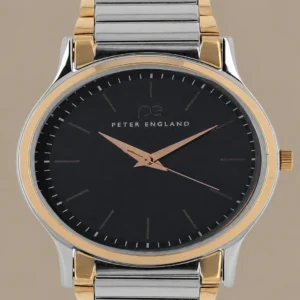 Gold-silver analog quartz watch by PETER ENGLAND with blue round dial, metal strap and water resistant feature.